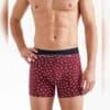 Bisiklet Desen Erkek Boxer Bordo