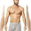 Erkek Bambu Boxer – Gri