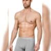 Elastan Erkek Boxer – Gri